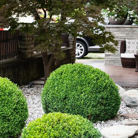 بيت ضيافة Magali's, - Inclusive Summer Card زيل أم سي